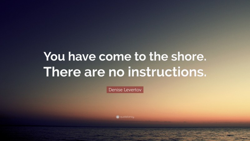 Denise Levertov Quote: “You have come to the shore. There are no instructions.”