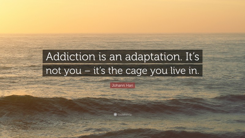 Johann Hari Quote: “Addiction is an adaptation. It’s not you – it’s the cage you live in.”