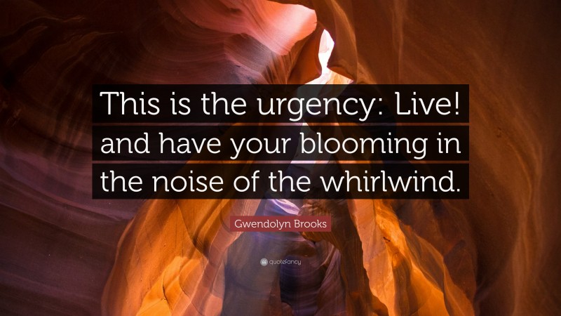 Gwendolyn Brooks Quote: “This is the urgency: Live! and have your blooming in the noise of the whirlwind.”