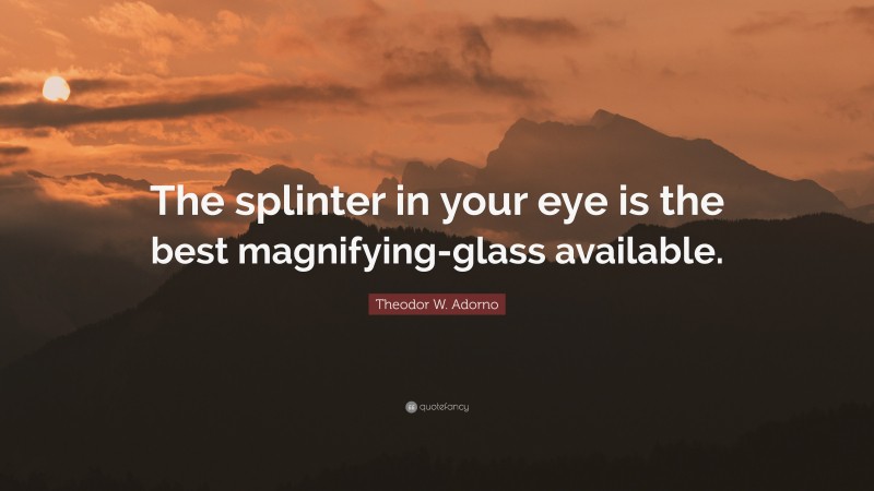 Theodor W. Adorno Quote: “The splinter in your eye is the best magnifying-glass available.”