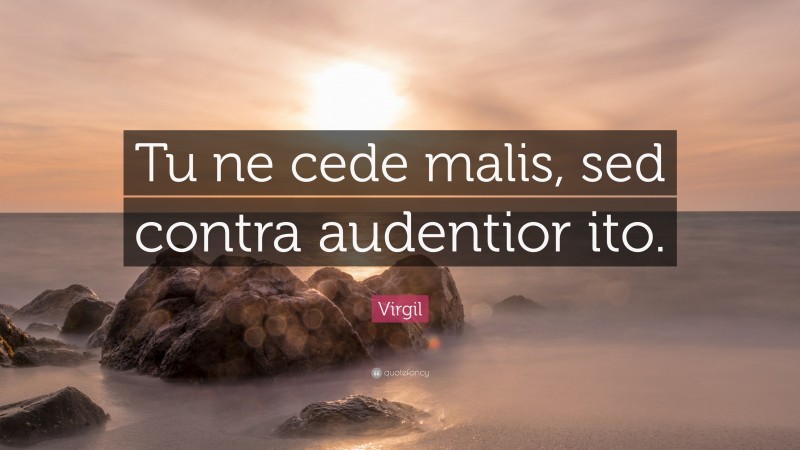 Virgil Quote: “Tu ne cede malis, sed contra audentior ito.”