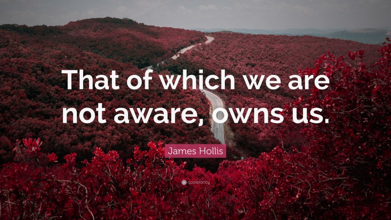 James Hollis Quote: “That of which we are not aware, owns us.”