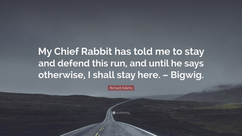 Richard Adams Quote: “My Chief Rabbit has told me to stay and defend this run, and until he says otherwise, I shall stay here. – Bigwig.”