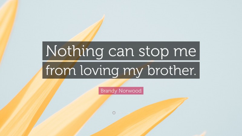 Brandy Norwood Quote: “Nothing can stop me from loving my brother.”