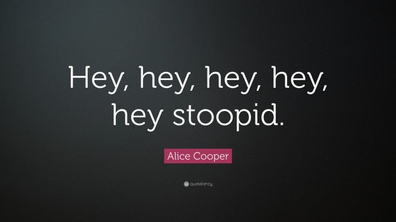 Alice Cooper Quote: “Hey, hey, hey, hey, hey stoopid.”