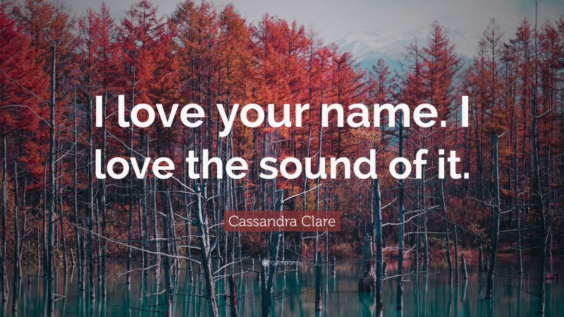 Cassandra Clare Quote: “I love your name. I love the sound of it.”