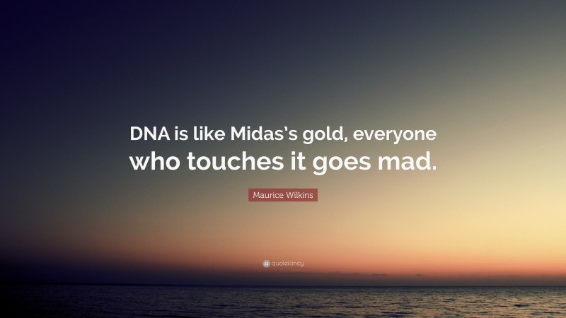 Maurice Wilkins Quote: “DNA is like Midas’s gold, everyone who touches it goes mad.”