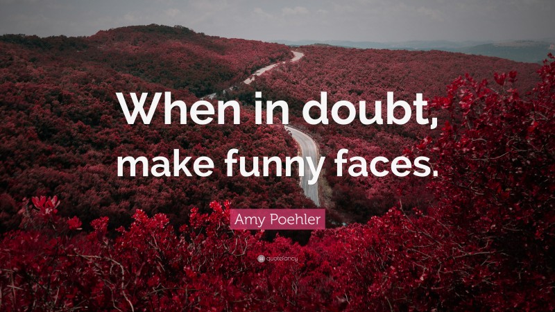 Amy Poehler Quote: “When in doubt, make funny faces.”