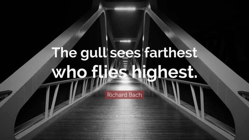Richard Bach Quote: “The gull sees farthest who flies highest.”