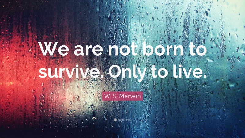 W. S. Merwin Quote: “We are not born to survive. Only to live.”