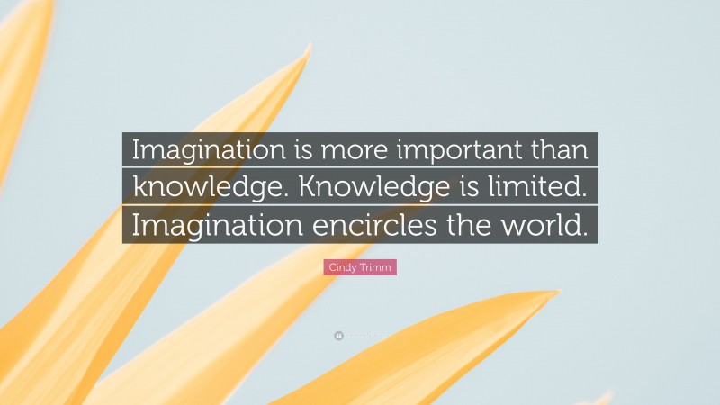 Cindy Trimm Quote: “Imagination is more important than knowledge. Knowledge is limited. Imagination encircles the world.”