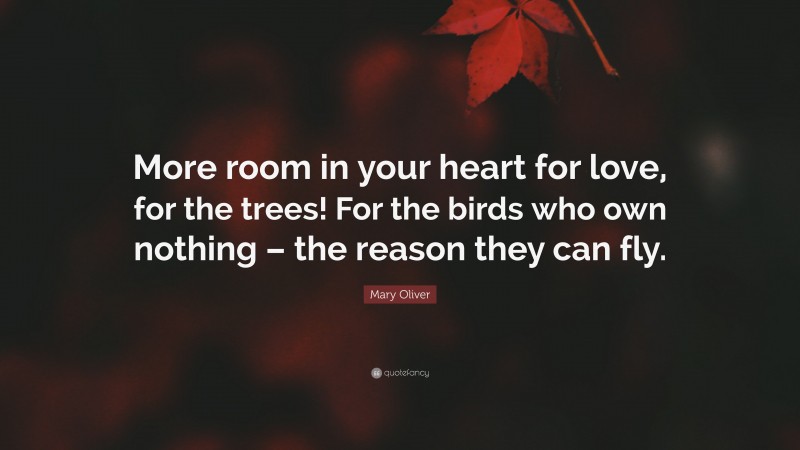 Mary Oliver Quote: “More room in your heart for love, for the trees! For the birds who own nothing – the reason they can fly.”