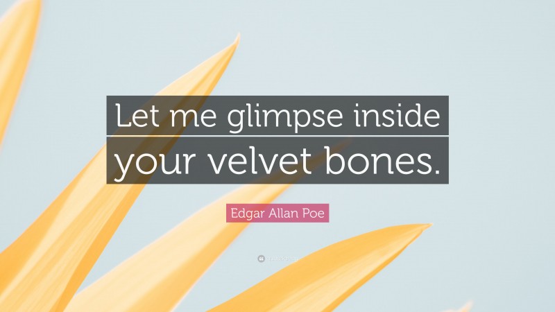 Edgar Allan Poe Quote: “Let me glimpse inside your velvet bones.”