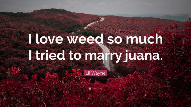 Lil Wayne Quote: “I love weed so much I tried to marry juana.”