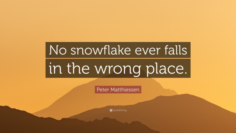 Peter Matthiessen Quote: “No snowflake ever falls in the wrong place.”