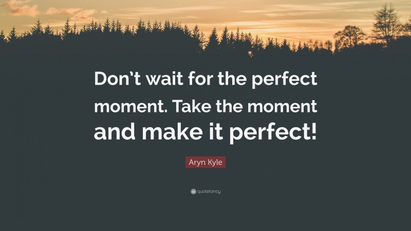 Aryn Kyle Quote: “Don’t wait for the perfect moment. Take the moment and make it perfect!”