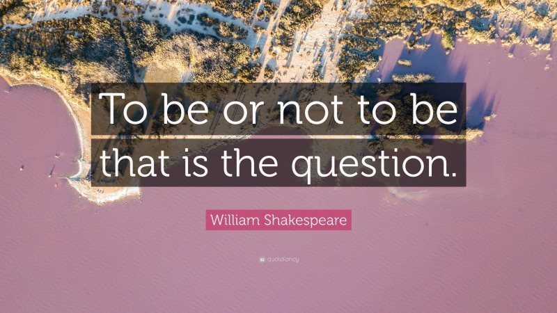 William Shakespeare Quote: “To be or not to be that is the question.”