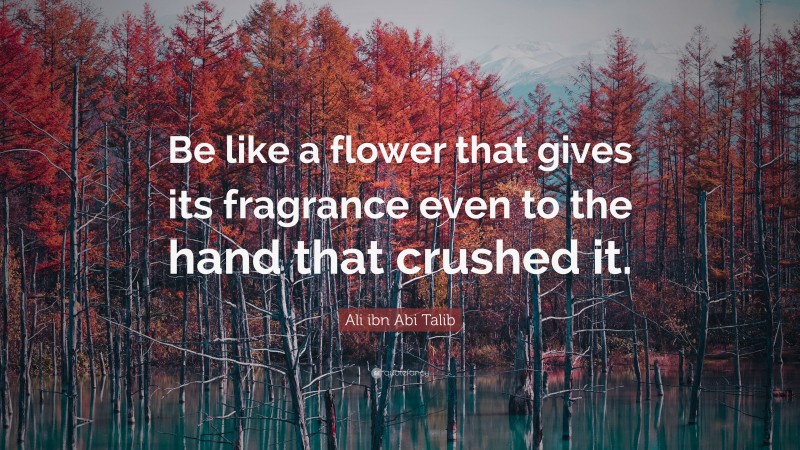 Ali ibn Abi Talib Quote: “Be like a flower that gives its fragrance even to the hand that crushed it.”