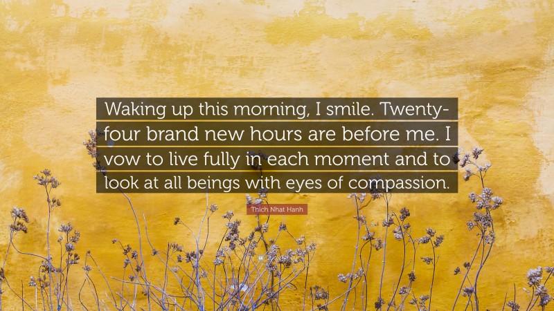 Thich Nhat Hanh Quote: “Waking up this morning, I smile. Twenty-four brand new hours are before me. I vow to live fully in each moment and to look at all beings with eyes of compassion.”
