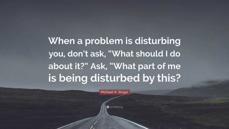 Michael A. Singer Quote: “When a problem is disturbing you, don’t ask, “What should I do about it?” Ask, “What part of me is being disturbed by this?”