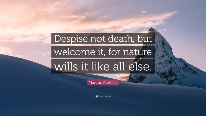 Marcus Aurelius Quote: “Despise not death, but welcome it, for nature wills it like all else.”