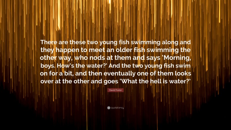 David Foster Quote: “There are these two young fish swimming along and they happen to meet an older fish swimming the other way, who nods at them and says ‘Morning, boys. How’s the water?’ And the two young fish swim on for a bit, and then eventually one of them looks over at the other and goes ‘What the hell is water?’”