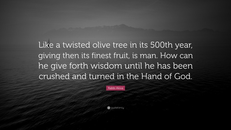 Rabbi Akiva Quote: “Like a twisted olive tree in its 500th year, giving then its finest fruit, is man. How can he give forth wisdom until he has been crushed and turned in the Hand of God.”