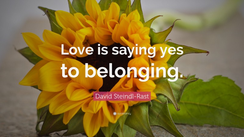 David Steindl-Rast Quote: “Love is saying yes to belonging.”