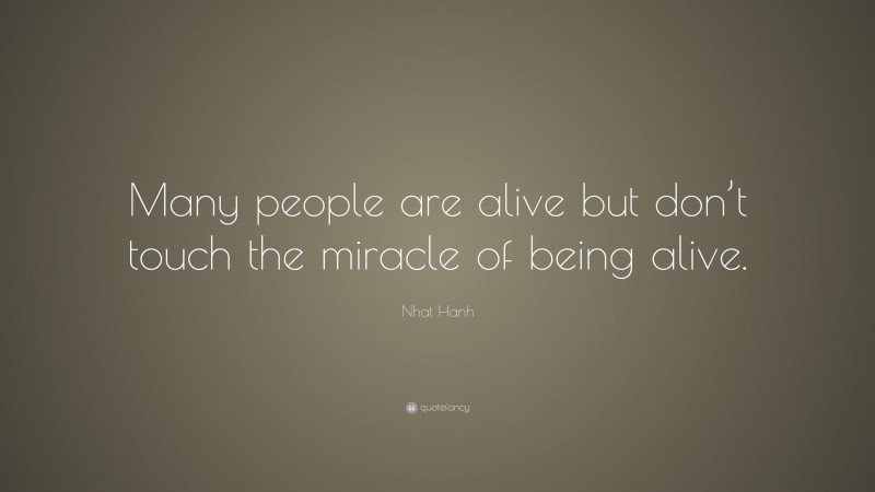 Nhat Hanh Quote: “Many people are alive but don’t touch the miracle of being alive.”