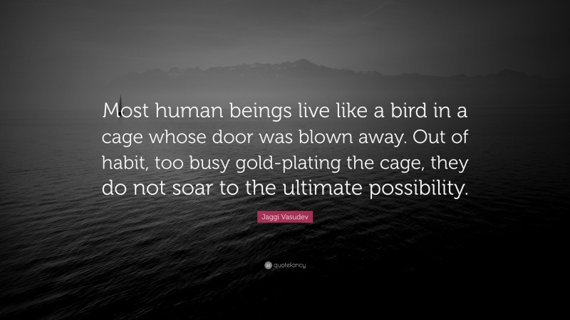 Jaggi Vasudev Quote: “Most human beings live like a bird in a cage whose door was blown away. Out of habit, too busy gold-plating the cage, they do not soar to the ultimate possibility.”
