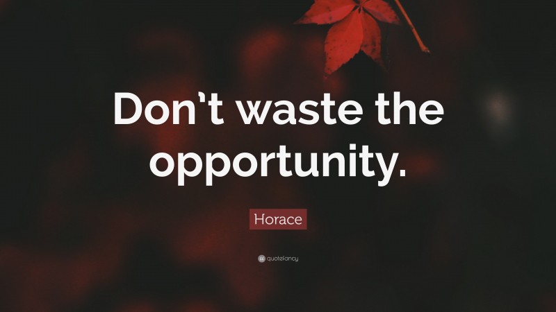 Horace Quote: “Don’t waste the opportunity.”