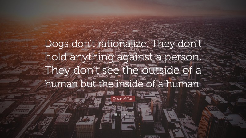 Cesar Millan Quote: “Dogs don’t rationalize. They don’t hold anything against a person. They don’t see the outside of a human but the inside of a human.”