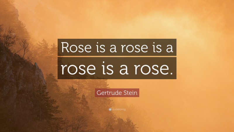 Gertrude Stein Quote: “Rose is a rose is a rose is a rose.”