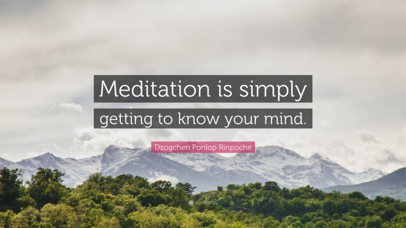Dzogchen Ponlop Rinpoche Quote: “Meditation is simply getting to know your mind.”
