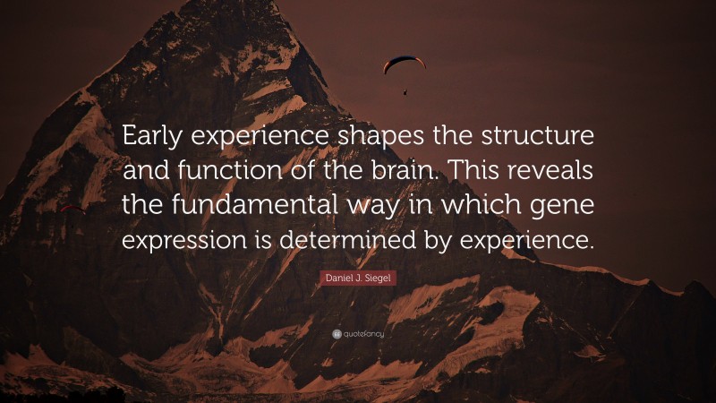 Daniel J. Siegel Quote: “Early experience shapes the structure and function of the brain. This reveals the fundamental way in which gene expression is determined by experience.”