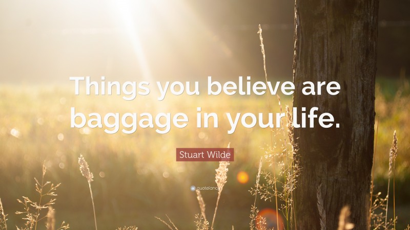 Stuart Wilde Quote: “Things you believe are baggage in your life.”