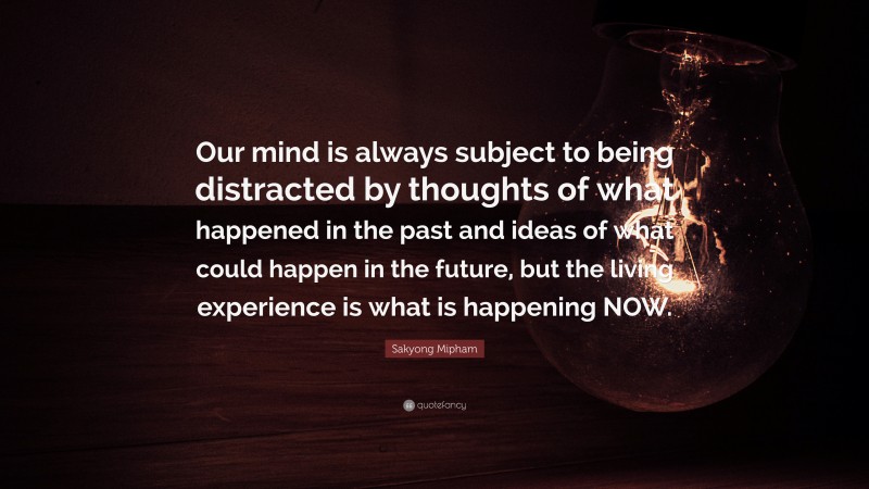 Sakyong Mipham Quote: “Our mind is always subject to being distracted by thoughts of what happened in the past and ideas of what could happen in the future, but the living experience is what is happening NOW.”
