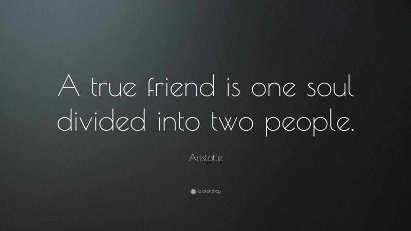 Aristotle Quote: “A true friend is one soul divided into two people.”