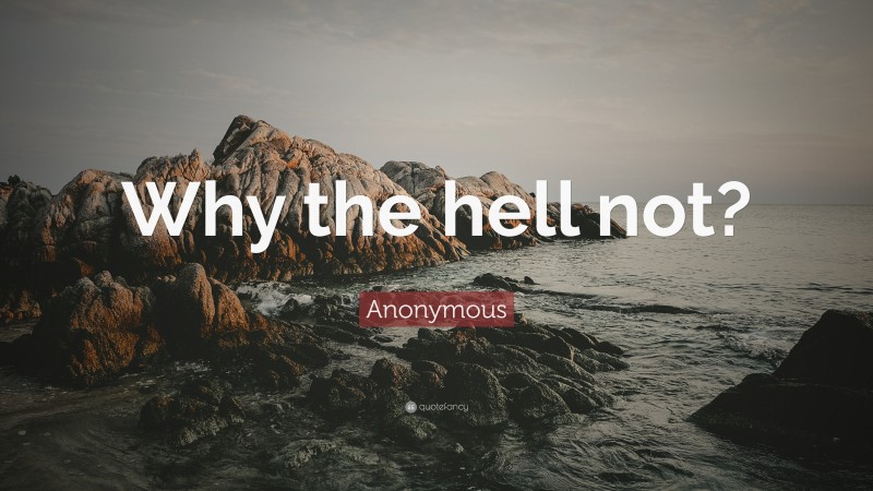 Anonymous Quote: “Why the hell not?”