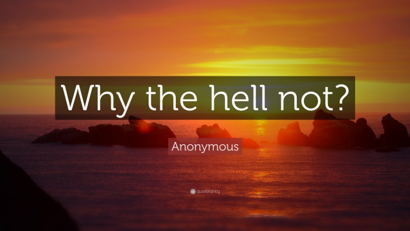 Anonymous Quote: “Why the hell not?”
