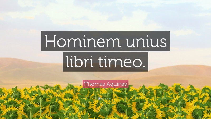 Thomas Aquinas Quote: “Hominem unius libri timeo.”