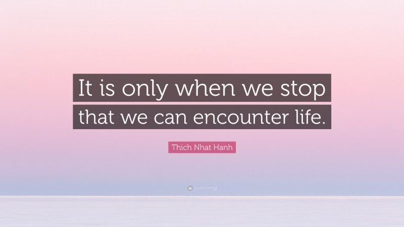 Thich Nhat Hanh Quote: “It is only when we stop that we can encounter life.”