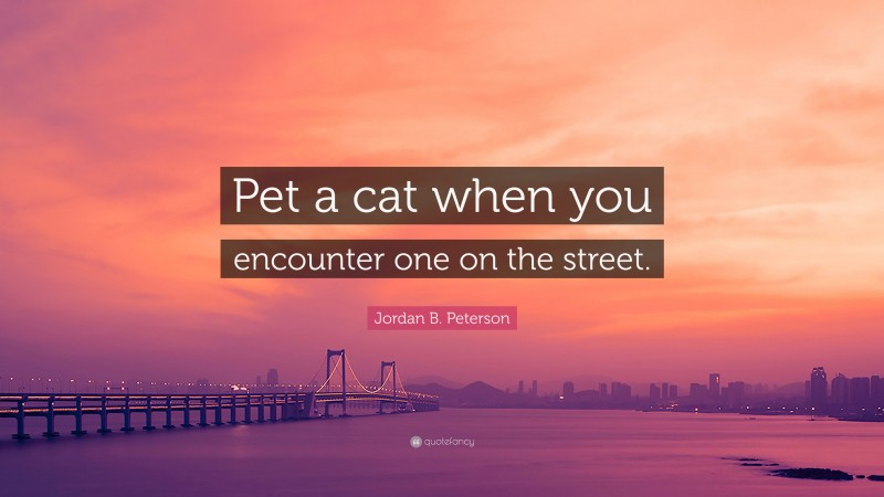 Jordan B. Peterson Quote: “Pet a cat when you encounter one on the street.”