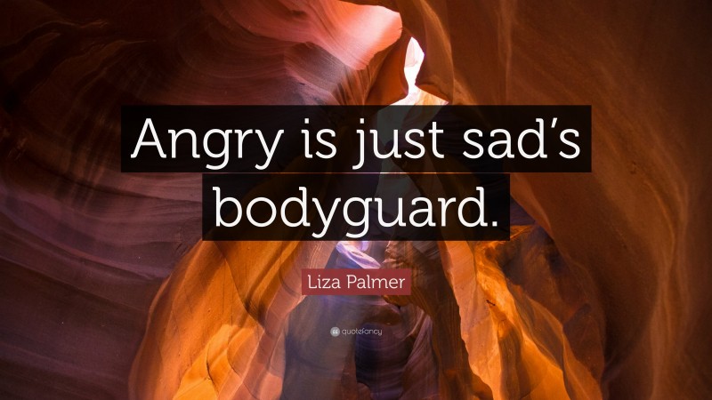 Liza Palmer Quote: “Angry is just sad’s bodyguard.”