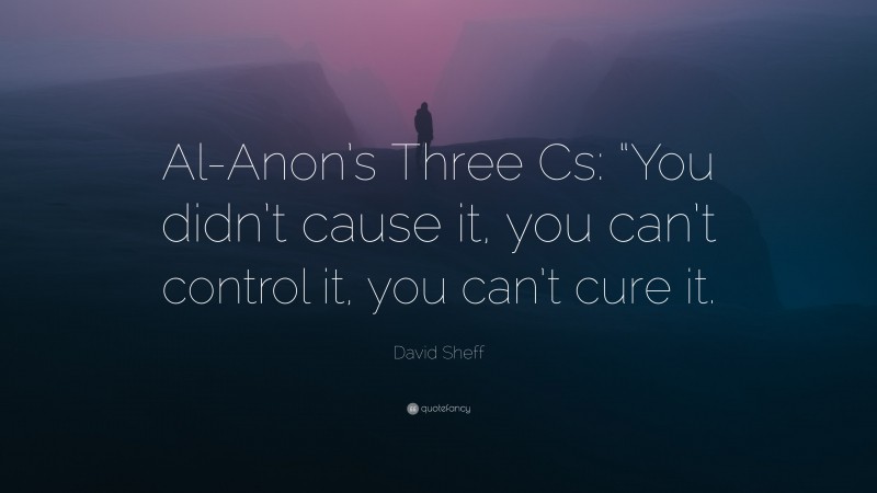David Sheff Quote: “Al-Anon’s Three Cs: “You didn’t cause it, you can’t control it, you can’t cure it.”