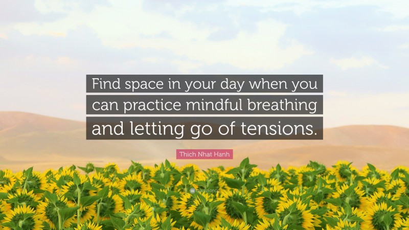 Thich Nhat Hanh Quote: “Find space in your day when you can practice mindful breathing and letting go of tensions.”