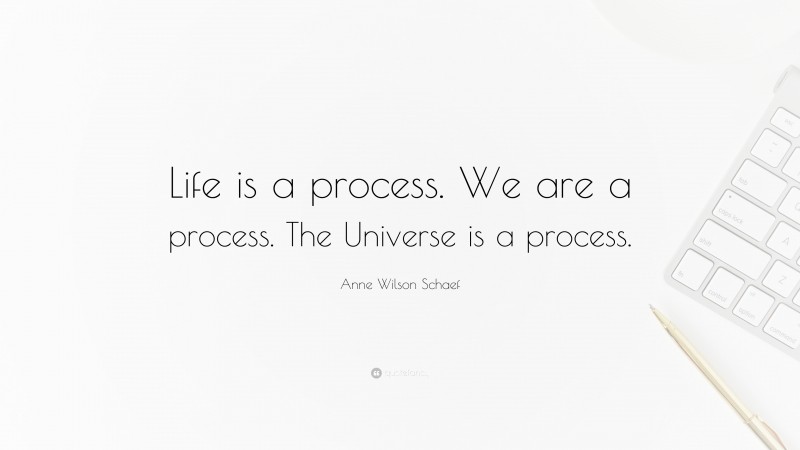Anne Wilson Schaef Quote: “Life is a process. We are a process. The Universe is a process.”