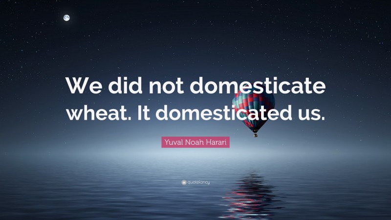 Yuval Noah Harari Quote: “We did not domesticate wheat. It domesticated us.”