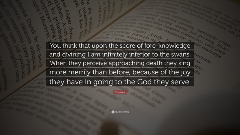 Socrates Quote: “You think that upon the score of fore-knowledge and divining I am infinitely inferior to the swans. When they perceive approaching death they sing more merrily than before, because of the joy they have in going to the God they serve.”