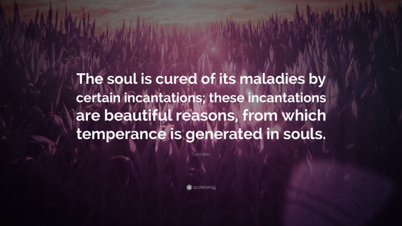 Socrates Quote: “The soul is cured of its maladies by certain incantations; these incantations are beautiful reasons, from which temperance is generated in souls.”
